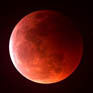 Blood Moon