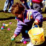 egg hunt