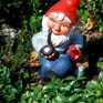 gnome