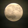 June Moon